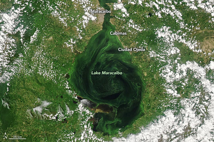 Imagen satelital del Observatorio de la Tierra de la NASA.