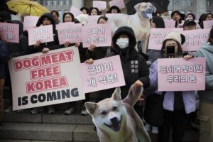 Diferentes organizaciones y sociedad civil en Corea del Sur tenían años pidiendo por la ilegalización del consumo de carne de perro. Foto: EFE.